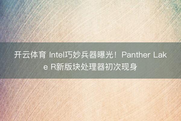 开云体育 Intel巧妙兵器曝光！Panther Lake R新版块处理器初次现身