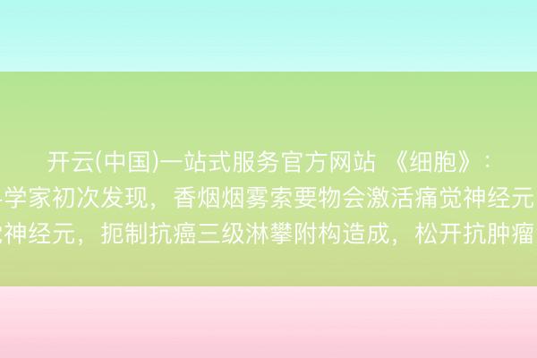 开云(中国)一站式服务官方网站 《细胞》：香烟糟蹋抗癌前方！科学家初次发现，香烟烟雾索要物会激活痛觉神经元，扼制抗癌三级淋攀附构造成，松开抗肿瘤免疫丨科学大发现