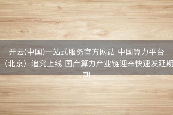 开云(中国)一站式服务官方网站 中国算力平台（北京）追究上线 国产算力产业链迎来快速发延期