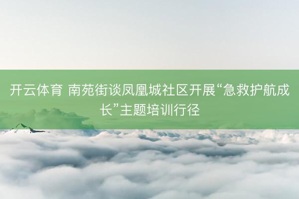 开云体育 南苑街谈凤凰城社区开展“急救护航成长”主题培训行径