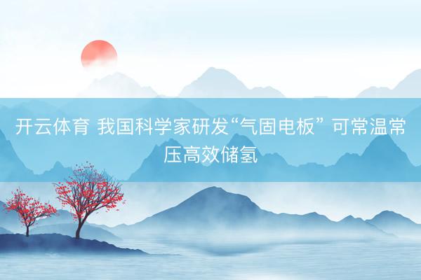 开云体育 我国科学家研发“气固电板” 可常温常压高效储氢