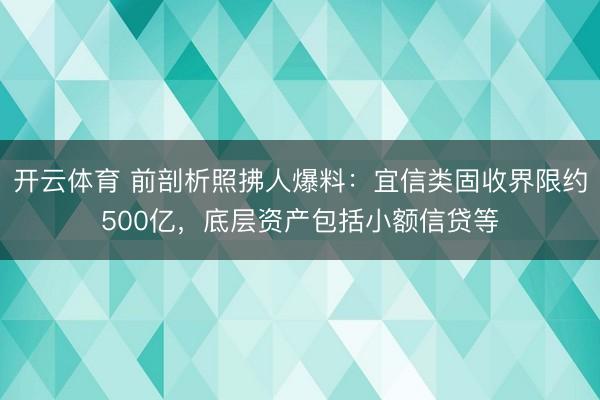 开云体育 前剖析照拂人爆料：宜信类固收界限约500亿，底层资产包括小额信贷等