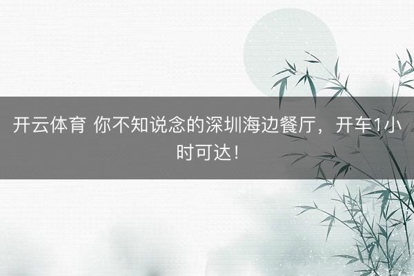 开云体育 你不知说念的深圳海边餐厅，开车1小时可达！