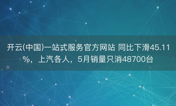 开云(中国)一站式服务官方网站 同比下滑45.11%，上汽各人，5月销量只消48700台
