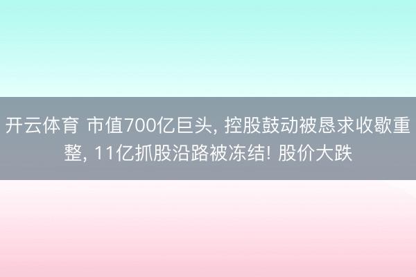 开云体育 市值700亿巨头， 控股鼓动被恳求收歇重整， 11亿抓股沿路被冻结! 股价大跌