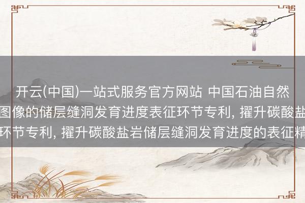 开云(中国)一站式服务官方网站 中国石油自然气集团央求基于电成像图像的储层缝洞发育进度表征环节专利， 擢升碳酸盐岩储层缝洞发育进度的表征精度